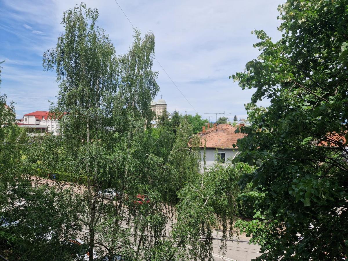 Cozy Appartment In The Center Targoviste Buitenkant foto
